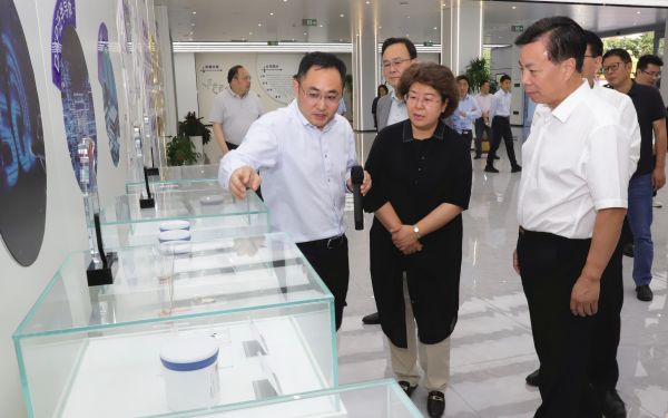 市人大常委會專題調研新能源之都建設情況